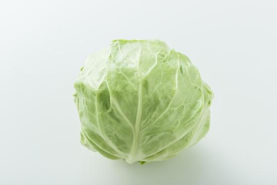 春キャベツ